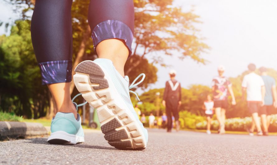 ¿Qué es Macadam y cómo funciona?